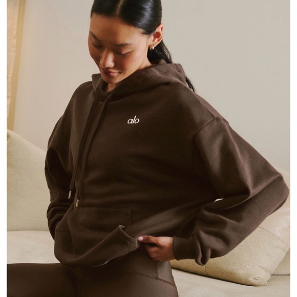 ALO Yoga Sweaters - Alo Espresso AccoladeHoodie